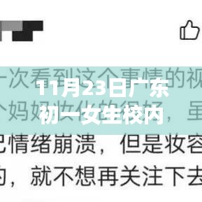 广东初一女生校园坠亡事件，背后的故事启示与心灵呼唤的反思