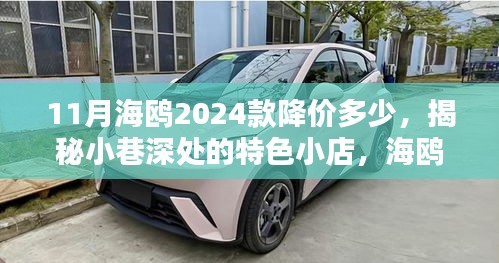 海鸥2024款降价揭秘与小巷特色小店探寻，惊喜背后的独特环境！