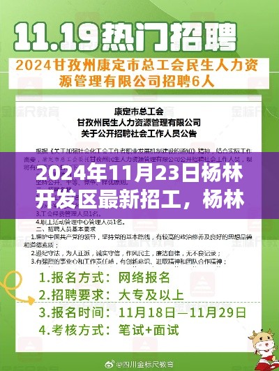 2024年11月23日杨林开发区最新招工，杨林开发区最新招工全攻略，2024年11月23日求职步骤详解