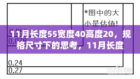 11月规格尺寸下的启示，长度55宽度40高度20的思考与洞察