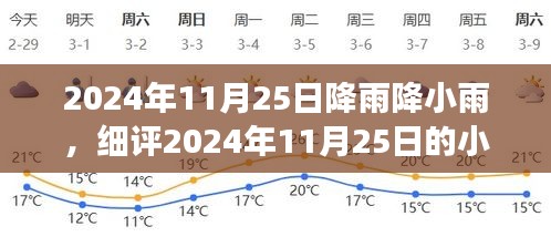 2024年11月25日小雨深度解析，气象现象与洗礼体验