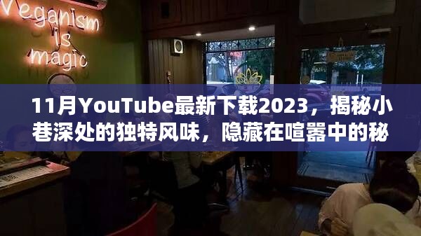 揭秘隐藏小巷的独特风味，犯罪问题之外的美食秘境——2023年11月YouTube最新下载指南