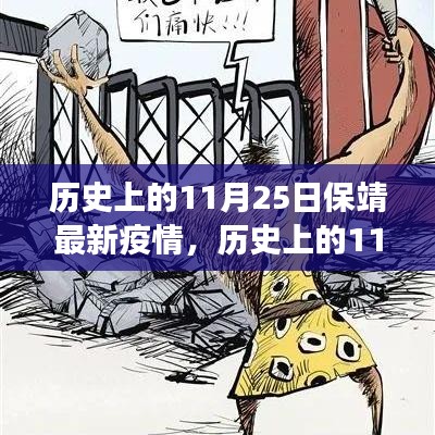 历史上的11月25日保靖县疫情概况与防控措施分析，最新疫情概况及防控动态报告