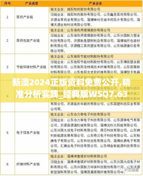 新澳2024正版资料免费公开,精准分析实践_经典版WSQ7.63