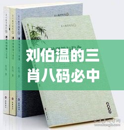 刘伯温的三肖八码必中特,社会责任法案实施_美学版CIB7.96