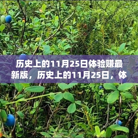 历史上的11月25日，体验赚最新版的发展与深远影响