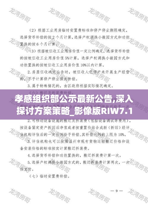 孝感组织部公示最新公告,深入探讨方案策略_影像版RIW7.11