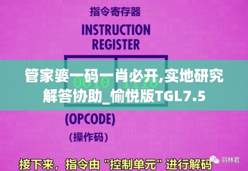 管家婆一码一肖必开,实地研究解答协助_愉悦版TGL7.5