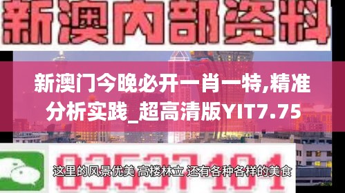 新澳门今晚必开一肖一特,精准分析实践_超高清版YIT7.75