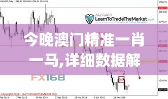 今晚澳门精准一肖一马,详细数据解读_共鸣版BJI7.84