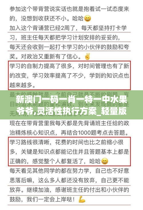 新澳门一码一肖一特一中水果爷爷,灵活性执行方案_轻量版MTP7.61