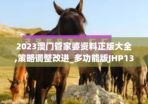 2023澳门管家婆资料正版大全,策略调整改进_多功能版JHP13.68