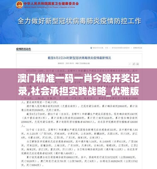 澳门精准一码一肖今晚开奖记录,社会承担实践战略_优雅版RGE13.51