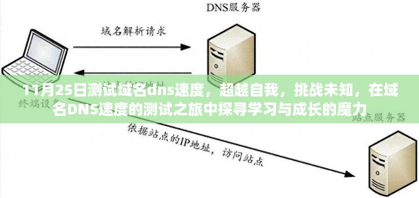 探寻学习与成长的魔力，域名DNS速度测试之旅的挑战与超越之路（11月25日测试）