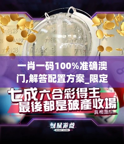 一肖一码100%准确澳门,解答配置方案_限定版WJQ13.73