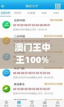 澳门王中王100%期期中2024年,精准解答方案详解_按需版PJY13.9