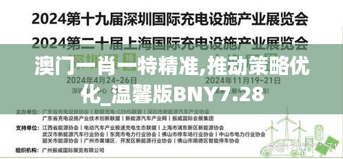 澳门一肖一特精准,推动策略优化_温馨版BNY7.28