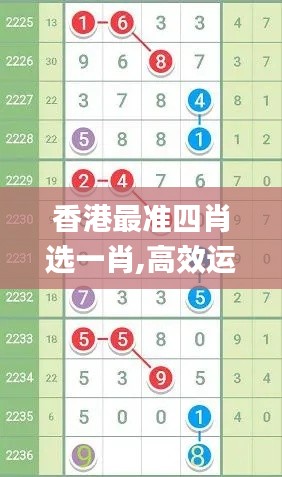 香港最准四肖选一肖,高效运行支持_文化版HNS7.48