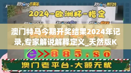 澳门特马今期开奖结果2024年记录,专家解说解释定义_天然版KTU7.63