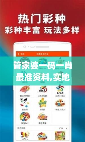 管家婆一码一肖最准资料,实地验证研究方案_时刻版VPN7.11