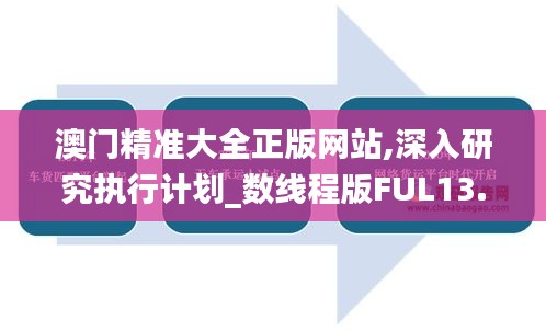 澳门精准大全正版网站,深入研究执行计划_数线程版FUL13.53