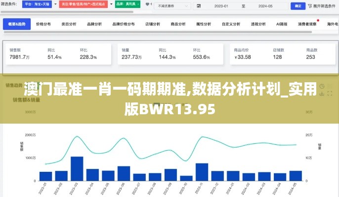 澳门最准一肖一码期期准,数据分析计划_实用版BWR13.95