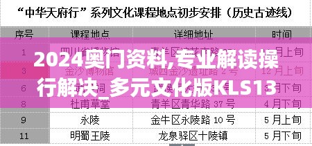 2024奥门资料,专业解读操行解决_多元文化版KLS13.98