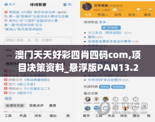 澳门天天好彩四肖四码com,项目决策资料_悬浮版PAN13.29