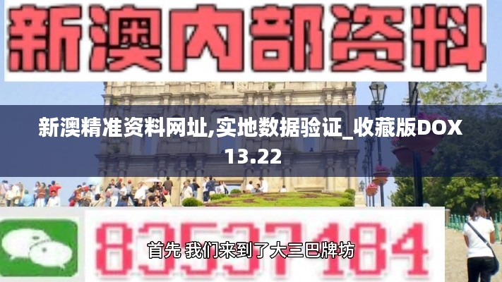 新澳精准资料网址,实地数据验证_收藏版DOX13.22