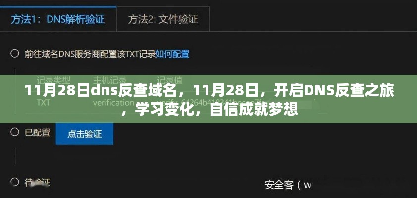 11月28日DNS反查之旅，学习变化，自信成就梦想