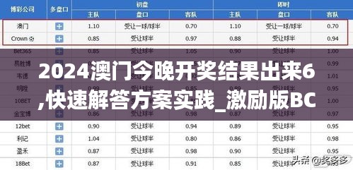 2024澳门今晚开奖结果出来6,快速解答方案实践_激励版BCK5.22