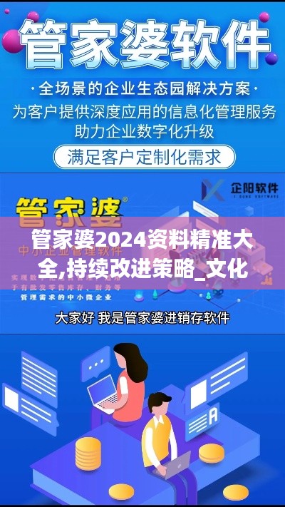 管家婆2024资料精准大全,持续改进策略_文化版BAS14.57