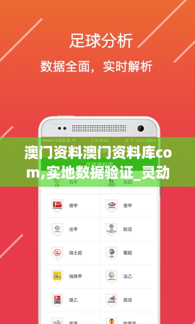 澳门资料澳门资料库com,实地数据验证_灵动版SYQ5.45