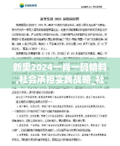 新奥2024一肖一码精料,社会承担实践战略_社区版YKS5.84