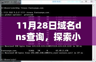 探索DNS查询背后的独特小店，小巷深处的秘密宝藏