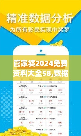 管家婆2024免费资料大全58,数据解析引导_业界版WHS13.36