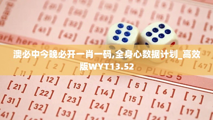 澳必中今晚必开一肖一码,全身心数据计划_高效版WYT13.52