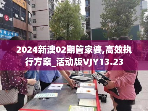 2024新澳02期管家婆,高效执行方案_活动版VJY13.23