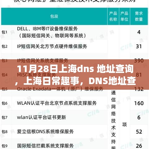 上海DNS地址查询背后的温情故事与日常趣事分享（日期，11月28日）