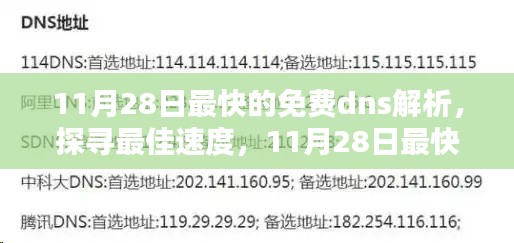 探寻最佳速度，11月28日最快的免费DNS解析服务解析