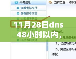 11月28日DNS故障应对，48小时关键行动指南