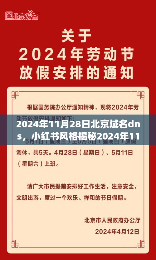 揭秘2024年11月北京域名DNS新动态，小红书风格下的网络生活展望