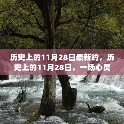 历史上的11月28日，心灵与自然的美景之旅启程寻找内心的平和宁静