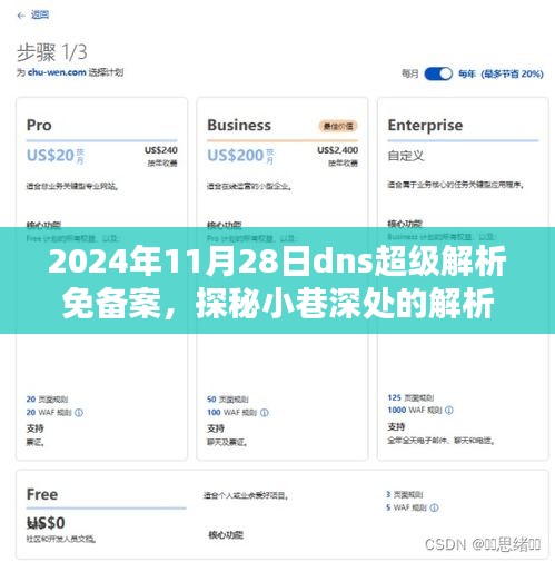 探秘特色DNS超级解析秘境，2024年11月28日免备案解析特色小店揭秘