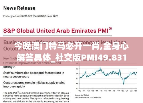 今晚澳门特马必开一肖,全身心解答具体_社交版PMI49.831