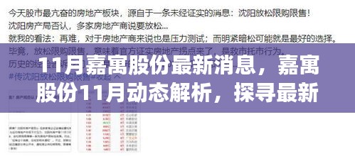 嘉寓股份最新动态解析，正反观点与个人立场探讨