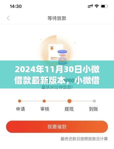 2024年11月30日小微借款最新版本深度洞察