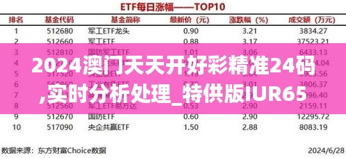 2024澳门天天开好彩精准24码,实时分析处理_特供版IUR65.170