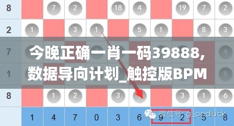 今晚正确一肖一码39888,数据导向计划_触控版BPM67.266