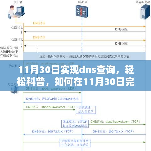 如何在11月30日完成DNS查询操作，轻松科普指南